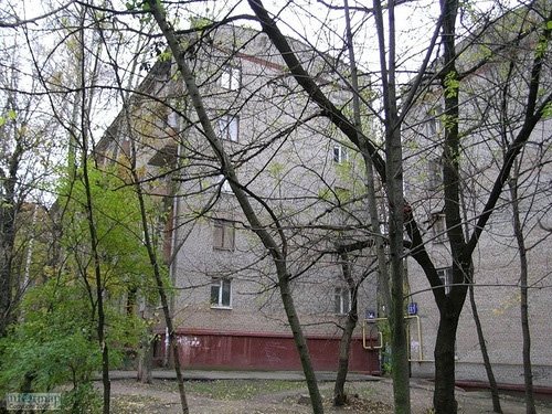 Зеленый пр-т. (30 кв. м.) - фото 2