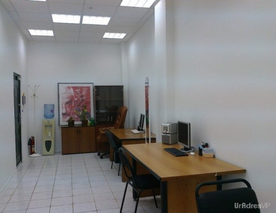 Цветной б-р. (28,4 кв. м.) - фото