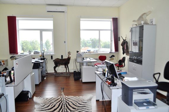 Михалковская ул. (8 кв. м.) - фото